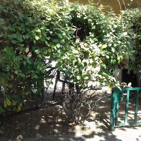 公寓 Jardinet *